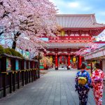 Tokyo Culture Experiences Tour