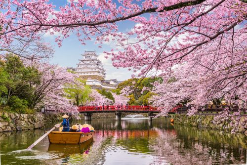 Japan In March Spring