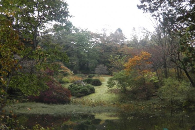 World Heritage Nikko Walking Tour - Botanical Gardens Nikko