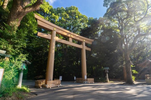 Tori Gate At Meji Jingu