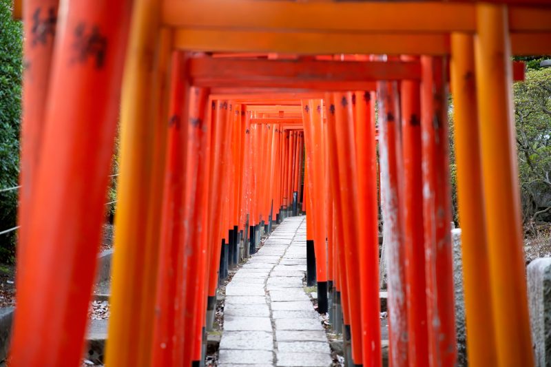 Torii Gates At Nezu-jinja Shrine Yanaka