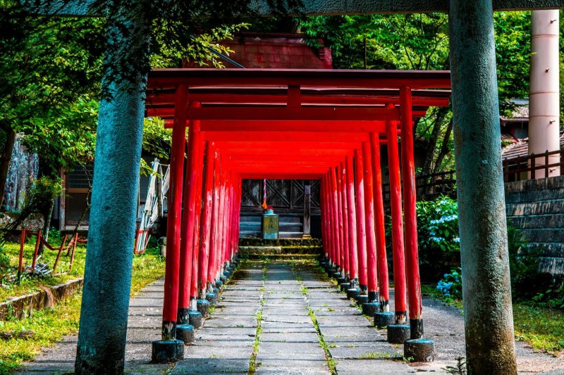Red Torii Gates In Takayama Japan